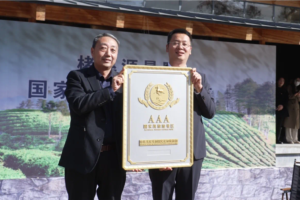 楮溪源,AAA,正式授牌